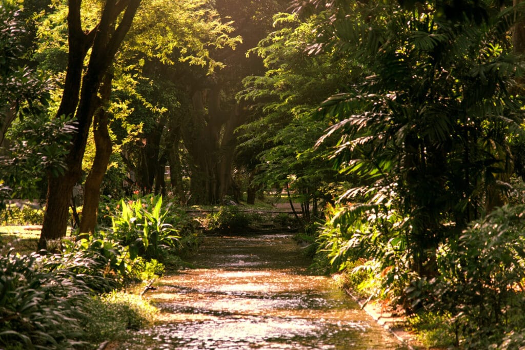 Parque Nacional