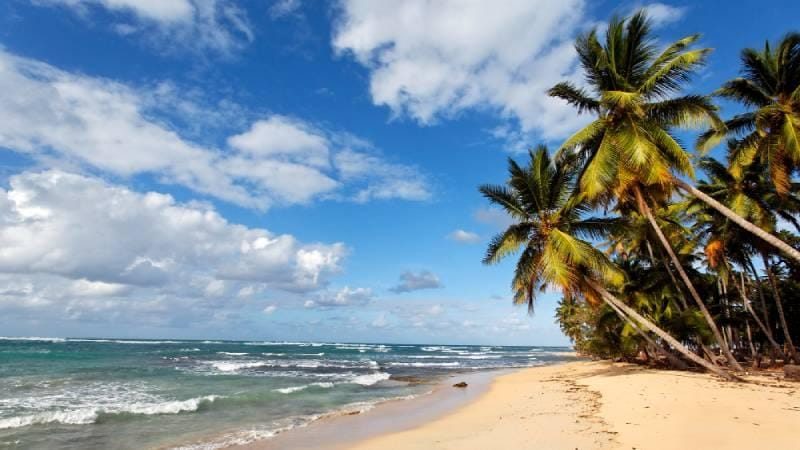 5 Motivos para se hospedar no Novo Sol Hotel em Porto Seguro - BA