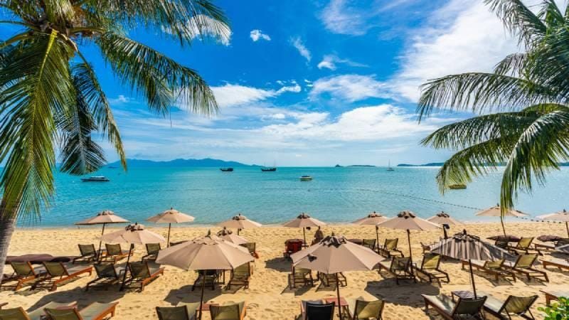 Descubra a serenidade da Praia de Curuípe em Porto Seguro