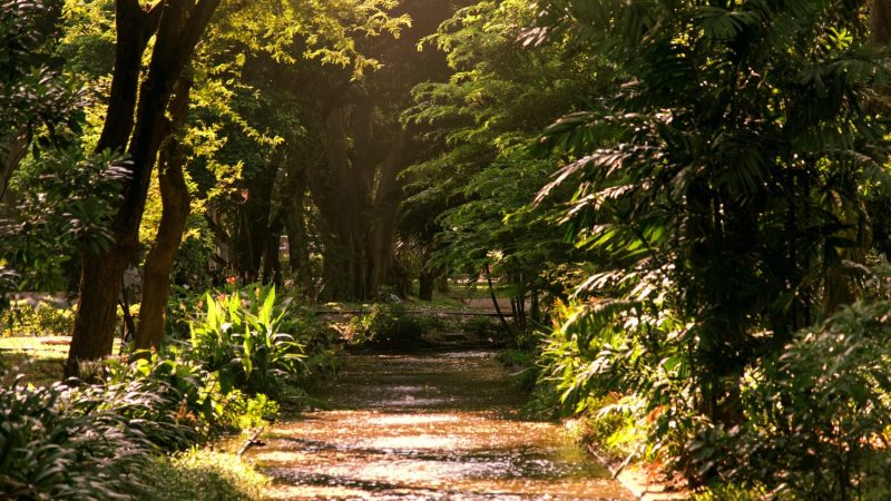 Parque Nacional